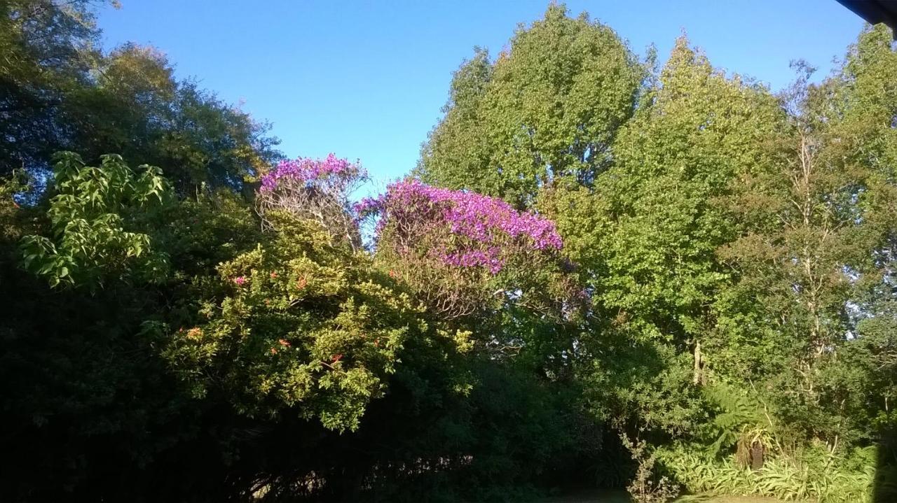 Serenity Cottage Graskop Zewnętrze zdjęcie